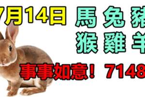 7月14日生肖運勢_馬、兔、豬大吉