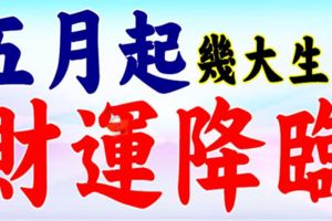 五月份開始，這幾大生肖財運降臨【希望有你】