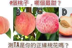 心理測試：4個桃子，哪個最甜？測TA是你的正緣桃花嗎？