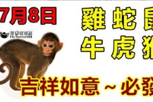 7月8日生肖運勢_雞、蛇、鼠大吉