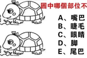 你第一眼看到的不同部位是什麼？測試別人眼中你是什麼樣的人