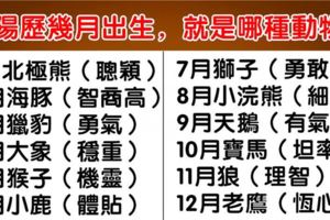 心理學：你的陽曆生日，看出你的性格對應什麼動物！