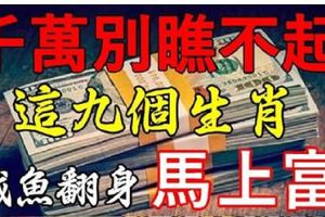 9月底，千萬別瞧不起這九個生肖，鹹魚翻身，馬上變富