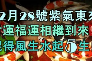 12月28號起，紫氣東來，財運、福運相繼到來，混得風生水起的5大生肖！