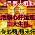 6月貴人相助，生活順心好運連連的三大生肖【有你必轉轉來好運】