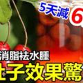 5天減6kg！山楂茶消脂袪水腫，「吸油刮脂」，減肚子效果驚人！