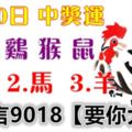 6月10日雞、猴、鼠、蛇、馬、羊！中獎運！請留言9018【要你大發】