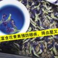 蝶豆（藍花）花茶：美容養顏，減脂抗發炎，功效強大！！！