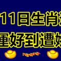 7月11日生肖運勢，財運好到遭嫉妒