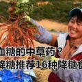 可降血糖的中草藥？中醫降糖推薦16種降糖食物？