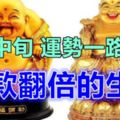 8月中旬，存款翻倍，運勢一路爆棚，財緣深厚的3大生肖！