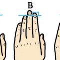 准確率達99.9%！只要伸出左手看看無名指，你就可以一眼地全面看透一個人的性格！