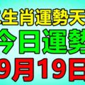 十二生肖運勢天天看，今日運勢：9月19日