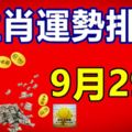 9月29號生肖運勢排名