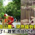 帶兒子逛公園，突然碰到我公公，我嚇壞了！趕緊捂住兒子的眼睛！