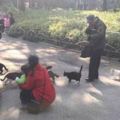 在公園散步，遇見一位厲害的老爺爺，他一聲吆喝就「召喚」出很多流浪貓！