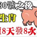 家中有此8大生肖，30號之後連續8天發8次橫財，接住了！【8888】