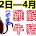 十二生肖每週運勢播報（4月2日—4月8日）