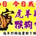 4月6日，今日我最旺！虎羊雞鼠猴狗牛豬！【33888】越早打開越靈驗！點個贊吧！