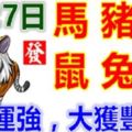 6月27日生肖運勢[馬、豬、狗大吉]