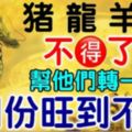 家有豬龍羊猴不得了了！幫他們轉一下！7月份旺到不行！