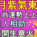 7月紫氣東來，3生肖運勢上上吉！多貴人相助，財路開生意火