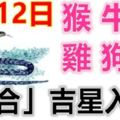 7月12日生肖運勢_猴、牛、龍大吉