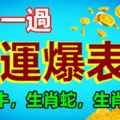 8月一過,運勢將迎來重大轉折的三個生肖,好運爆表!