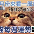 【出生月份來看一周運勢】小喵每週運勢（8月27日至9月02日）