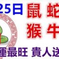 9月25日生肖運勢_鼠、蛇、龍大吉