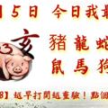 10月5日，今日我最旺！豬龍蛇雞鼠馬狗羊！【52988】越早打開越靈驗！點個讚吧！