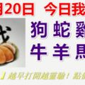 11月20日，今日我最旺！狗蛇雞豬牛羊馬兔！【99288】越早打開越靈驗！點個讚吧！