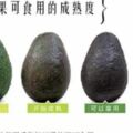 「一個牛油果相當於三個雞蛋」，經常食用對身體有怎樣的好處？如何食用更加靠譜？