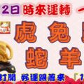 12月12日時來運轉一路發，虎兔鼠蛇羊龍，88秒內打開，好運跟著來『16888』