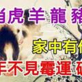 生肖虎羊龍豬，家中有他們，今年不見黴運破財