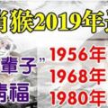 身邊有屬猴的嗎1956年、1968年、1980年的屬猴人2019年運勢，「後半輩子」享清福