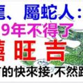 屬龍、屬蛇人：2019年是上上等運勢！家裡有這兩個生肖的快來接吧，不然就跑掉了