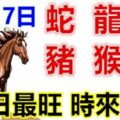 2月17日生肖運勢_蛇、龍、牛大吉