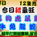 2019年5月29日，星期三，農歷四月廿五（己亥年己巳月丙寅日）