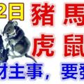 8月2日生肖運勢_豬、馬、狗大吉