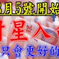 8月5號開始，財運只會「更好」的生肖