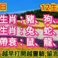 2019年8月10日，星期六，農歷七月初十（己亥年壬申月己卯日）