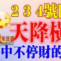 2，3，4號開始橫財天降，三番五次大獎中不停的生肖