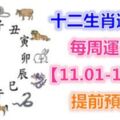 十二生肖運勢：每周運勢【11.01-11.10】提前預知！