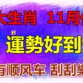 11月運勢好到爆的四大生肖