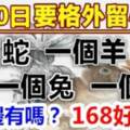 8月20日要格外留心了，一個蛇，一個羊，一個兔，一個牛好運來