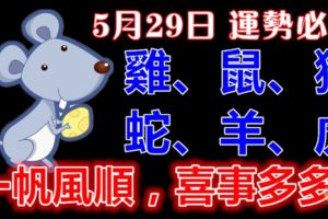 5月29日雞、鼠、猴、蛇、羊、虎！今天好運登場，一帆風順，喜事多多！