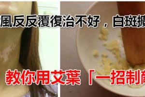 白癜風反反復復治不好，白斑擴散，教你用艾葉「一招制敵」