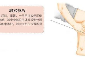 小小穴位有奇功之「豐隆穴」