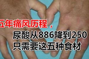 五年痛風歷程，尿酸從886降到250，只需要這五種食材